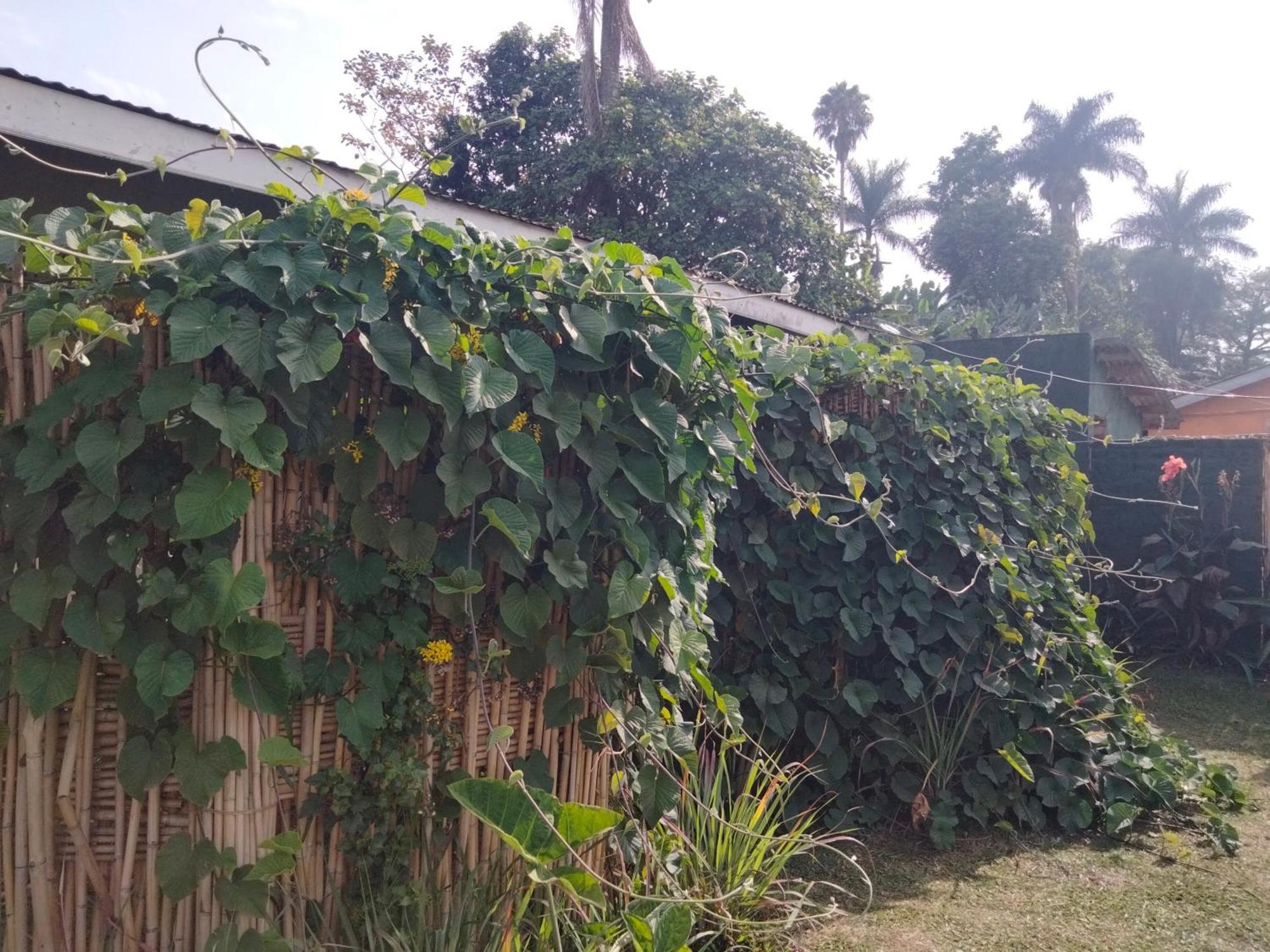 Gaia Eco Hub Bnb Fort Portal Exterior foto